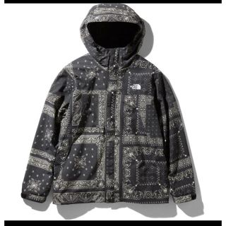 ザノースフェイス(THE NORTH FACE)のnorth face novelty scoop jacket xxl(その他)