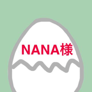 NANA様専用(枕)