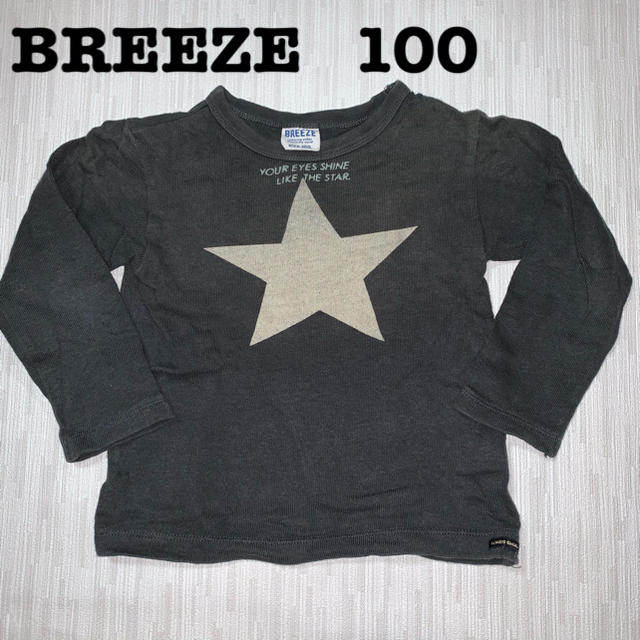 BREEZE(ブリーズ)のBREEZE Tシャツ　サイズ:100 キッズ/ベビー/マタニティのキッズ服男の子用(90cm~)(Tシャツ/カットソー)の商品写真