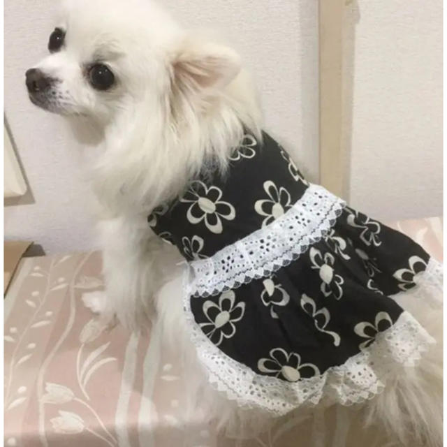 小型犬 タンク型 ワンピース 型紙の通販 By Prettylemon S Shop ラクマ 小型犬 タンク型 ワンピース 型紙の通販 By Prettylemon S Shop ラクマ