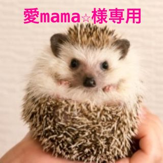 アースマジック(EARTHMAGIC)の愛mama☆様専用　お取り置き中(スカート)