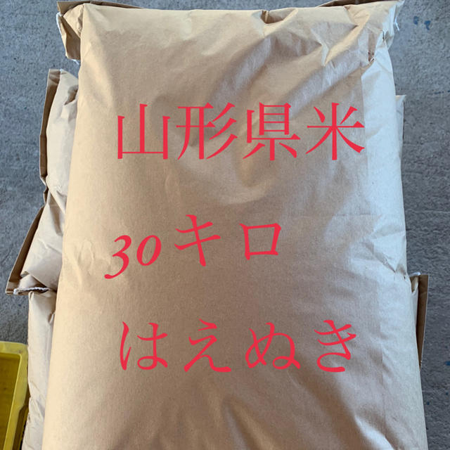 令和元年　はえぬき　30キロ米/穀物