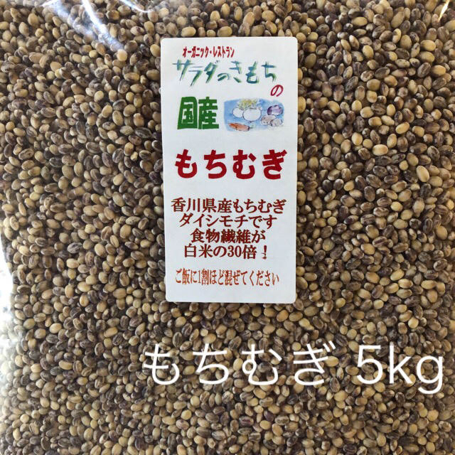 国産もち麦5kg