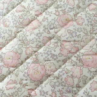 check&stripe リバティ フェリシテ 縮小版 ボンポワン サンドウ