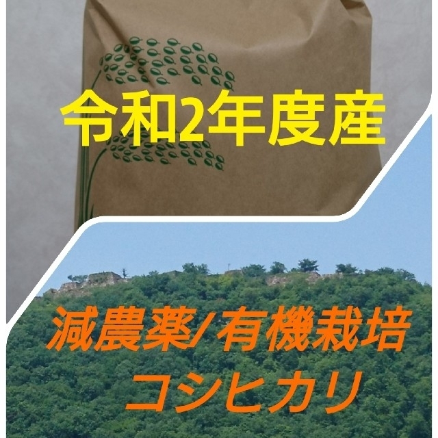 コシヒカリ新米9キロ(精米)