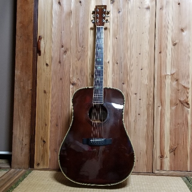 CatsEyes　アコースティックギター　CE-320D