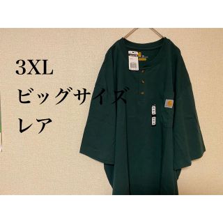 カーハート(carhartt)の新品　ヘンリーネック carhartt Tシャツ ハンターグリーン 緑 グリーン(Tシャツ/カットソー(半袖/袖なし))