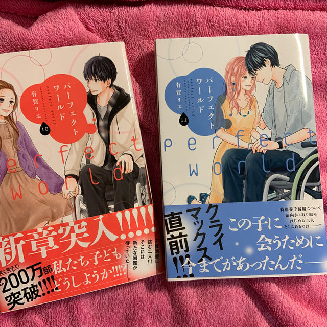 パーフェクトワールド1〜12巻完結