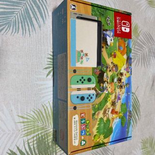 Nintendo Switch あつまれ どうぶつの森セット　新品(家庭用ゲーム機本体)