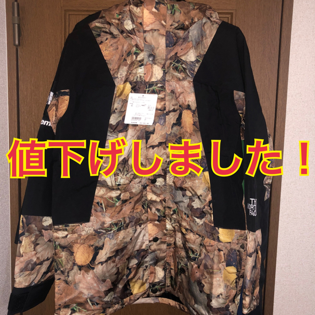 Supreme(シュプリーム)のSupreme TNF Leaves Mountain Light Jacket メンズのジャケット/アウター(マウンテンパーカー)の商品写真