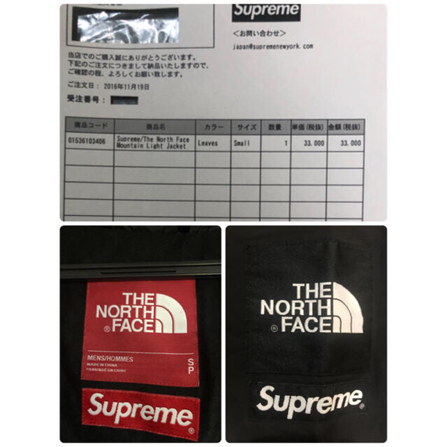 Supreme(シュプリーム)のSupreme TNF Leaves Mountain Light Jacket メンズのジャケット/アウター(マウンテンパーカー)の商品写真