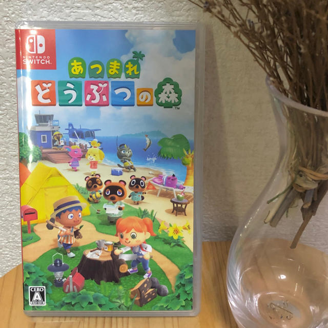 【美品】あつまれ どうぶつの森 Switch