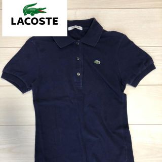 ラコステ(LACOSTE)のLACOSTE レディース ポロシャツ(ポロシャツ)