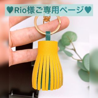 ♥︎Rio様ご専用ページ♥︎(キーホルダー)