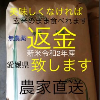 16日発送　saaaaa様専用　無農薬　新米純こしひかり10㎏ 玄米(米/穀物)