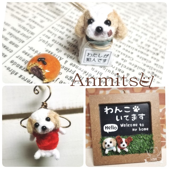 専用ページ シーズー&パピヨン | capacitasalud.com