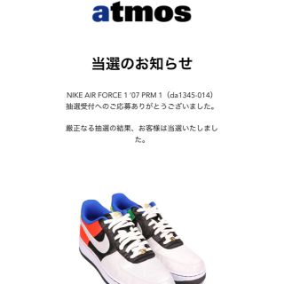 ナイキ(NIKE)のNIKE  HIDDEN MESSAGE PACK AIR FORCE 1(スニーカー)