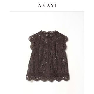 アナイ(ANAYI)の冬だからお値下【新品タグ付】【未使用】ANAYI レース　スタンドネックブラウス(シャツ/ブラウス(半袖/袖なし))