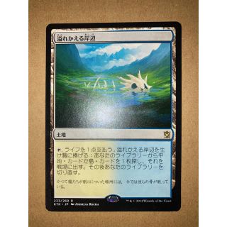 マジックザギャザリング(マジック：ザ・ギャザリング)の●MTG KTK 溢れかえる岸辺/Flooded Strand 日本語 1枚●(シングルカード)