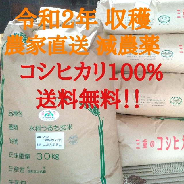 【数量限定】三重県産☆こだわりの減農薬米☆令和2年産☆コシヒカリ☆玄米25kgお弁当に