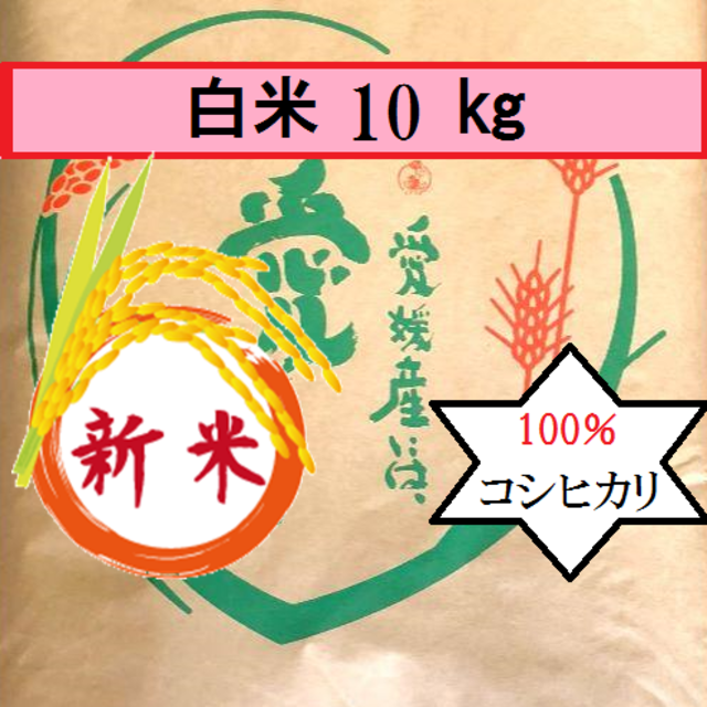 お米　令和２年　愛媛県産コシヒカリ　白米　10㎏