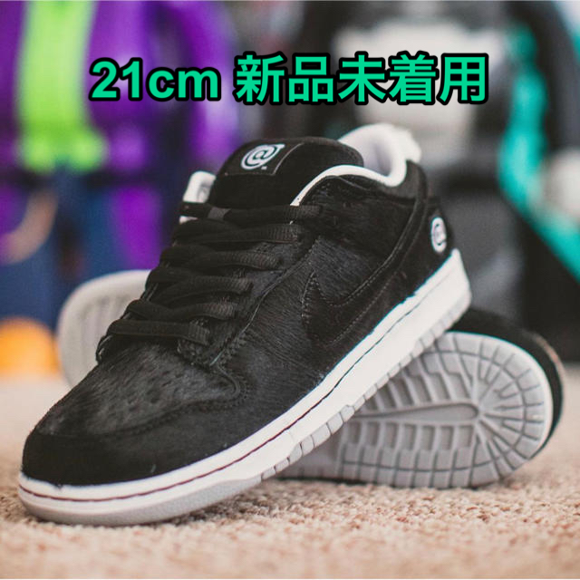 【21cm 新品未着用】nike sb dunk ベアブリック