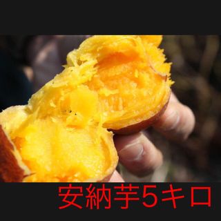 ジン様専用(野菜)