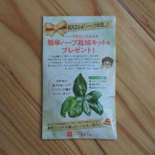 簡単ハーブ栽培キット／バジル栽培キット(その他)