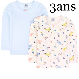 プチバトー(PETIT BATEAU)の【今期新作】プチバトー カラー＆プリント長袖Tシャツ２枚組　3ans95cm(下着)