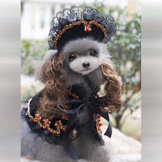 ハロウィン犬服 ボレロ 帽子 Mサイズの通販 By Nori ラクマ ハロウィン犬服 ボレロ 帽子 Mサイズの通販 By Nori ラクマ