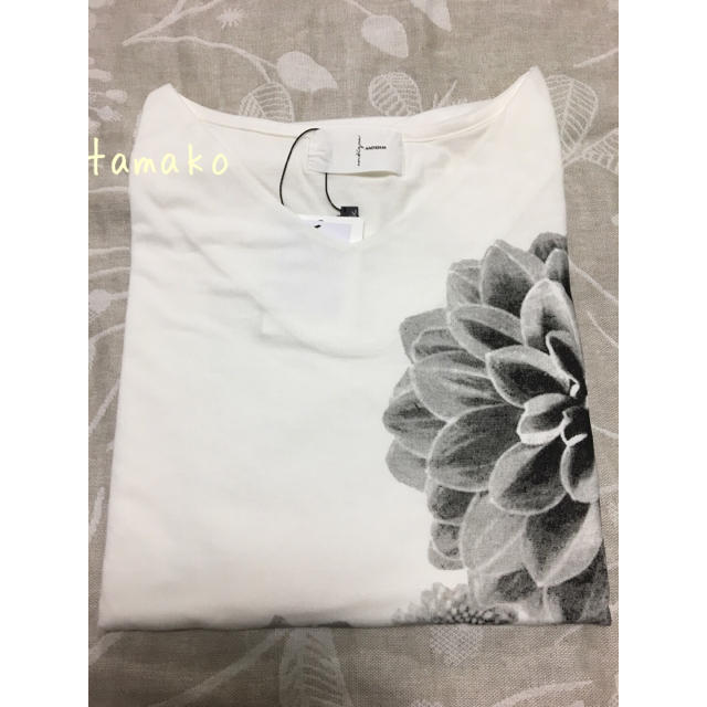 antiqua(アンティカ)のアンティカ ダリア 花柄 トップス Ｔシャツ レディースのトップス(Tシャツ(半袖/袖なし))の商品写真