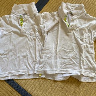 ユニクロ(UNIQLO)のユニクロ　白半袖襟シャツ110センチ2枚(Tシャツ/カットソー)