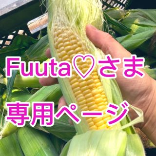 🌽Fuutaさま専用ページ(野菜)