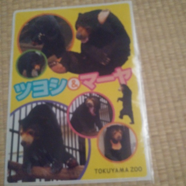 徳山動物園ファイル エンタメ/ホビーのおもちゃ/ぬいぐるみ(キャラクターグッズ)の商品写真