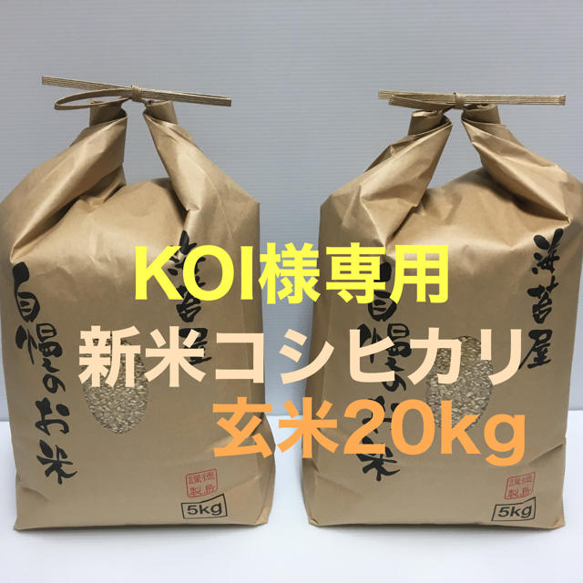 KOI様専用 新米コシヒカリ玄米20kg(5kg×4)令和2年 徳島県産 elearning