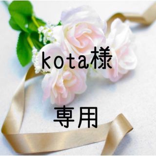 kota様専用  お米　令和２年　愛媛県産コシヒカリ　白米　20㎏・もち麦800(米/穀物)
