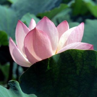 専用です⭐️(その他)
