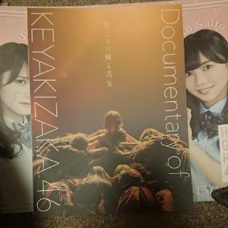 ケヤキザカフォーティーシックス(欅坂46(けやき坂46))の欅坂46 僕たちの嘘と真実パンフレット(邦画)