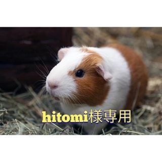 hitomi様専用ページ(パーカー)