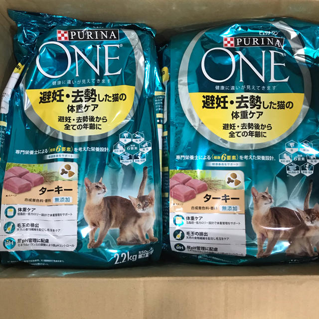 Nestle(ネスレ)のさくらん様専用 その他のペット用品(ペットフード)の商品写真