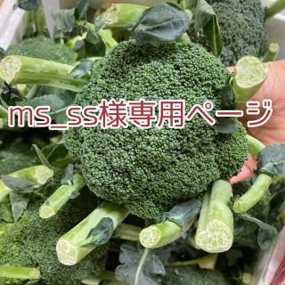 🥦ms_ss様専用ページ🥦(野菜)