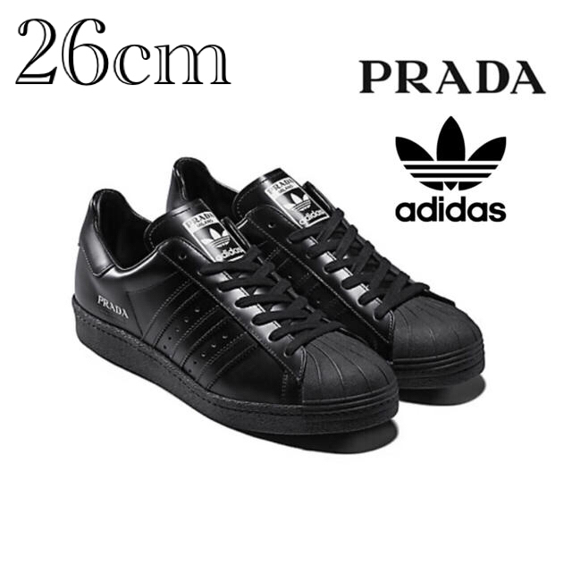 注目のブランド PRADA - 【新品】adidas × PRADA Superstar 限定 ...