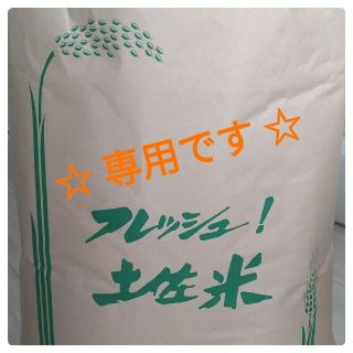 専用です　新米　令和２年度産コシヒカリ　(米/穀物)