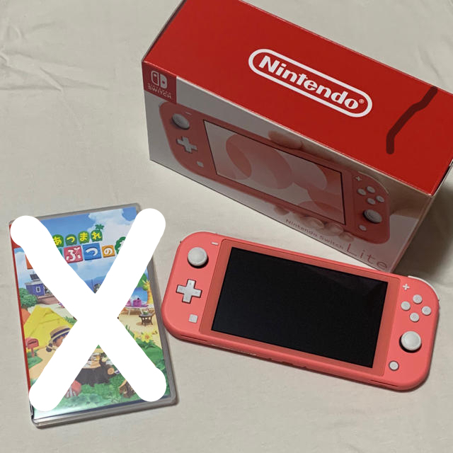 Nintendo Switch どうぶつの森