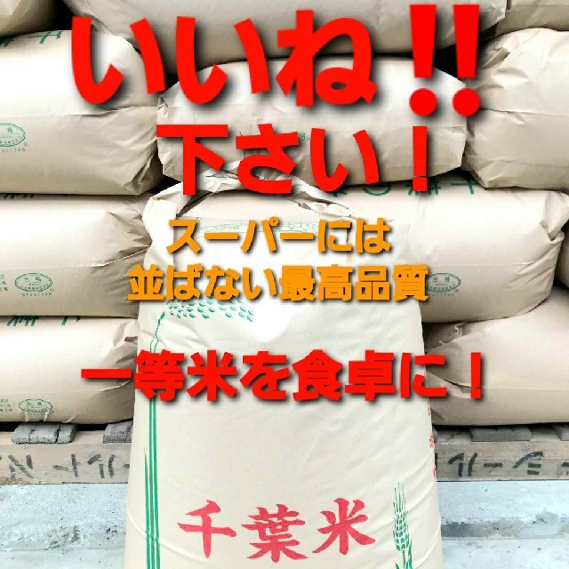 検査証をのせた本物の安心安全一等米コシヒカリ玄米20キロ - 米/穀物