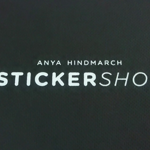 ANYA HINDMARCH(アニヤハインドマーチ)のアニヤハインドマーチ 小物新品同様  - レディースのファッション小物(その他)の商品写真