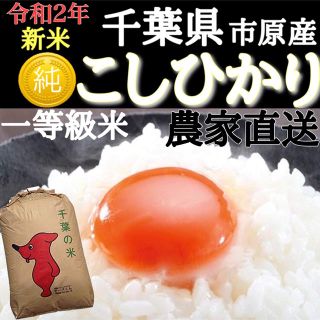 千葉県産 新米 コシヒカリ 10kg 農家直送 お米 20kg 30kg 白米(米/穀物)