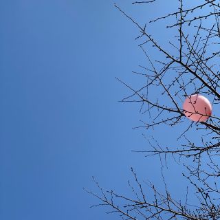 ツルバイマリコオイカワ(TSURU by Mariko Oikawa)のりこりこ様専用ツルバイマリコオイカワ　Floralia BEIGE 36サイズ(サンダル)