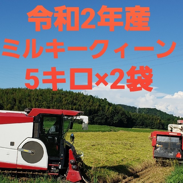 新米令和2年産ミルキークイーン精米10キロ、送料無料。