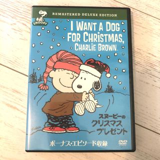 スヌーピー(SNOOPY)のスヌーピーのクリスマス・プレゼント　特別版 DVD(アニメ)